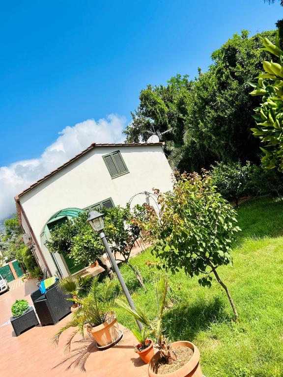 Belvedere - 4