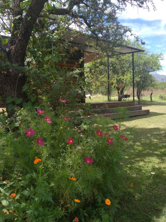 Casa Cosmos, Apart para parejas - 3