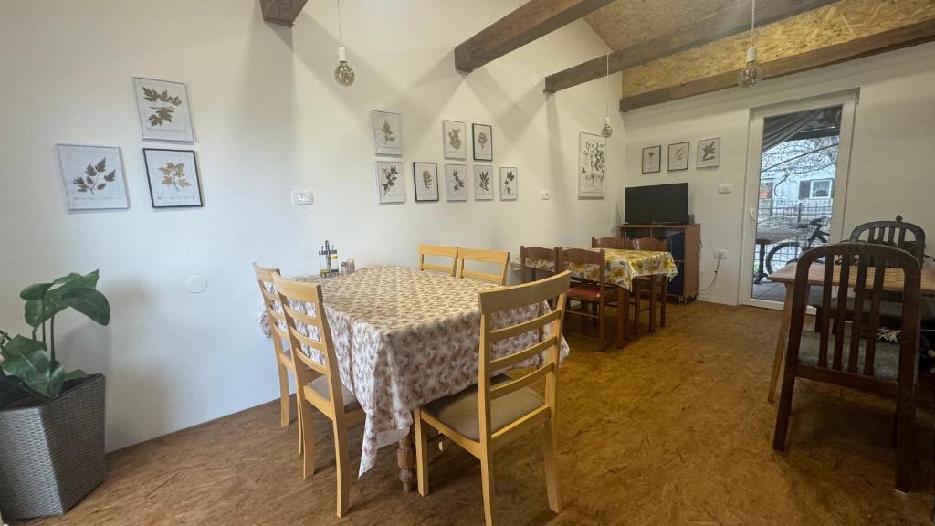 GuestHouse Flora 7