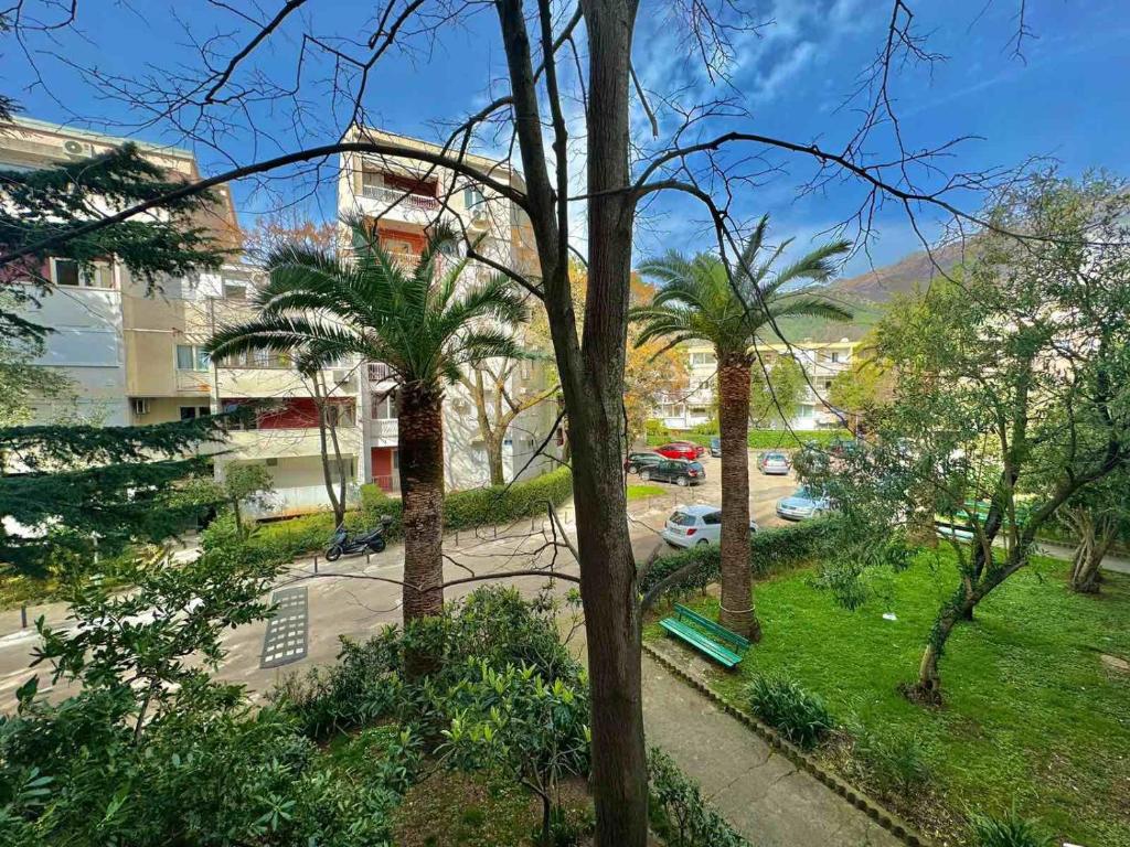 Family two bedroom apartment Slavija - 2
