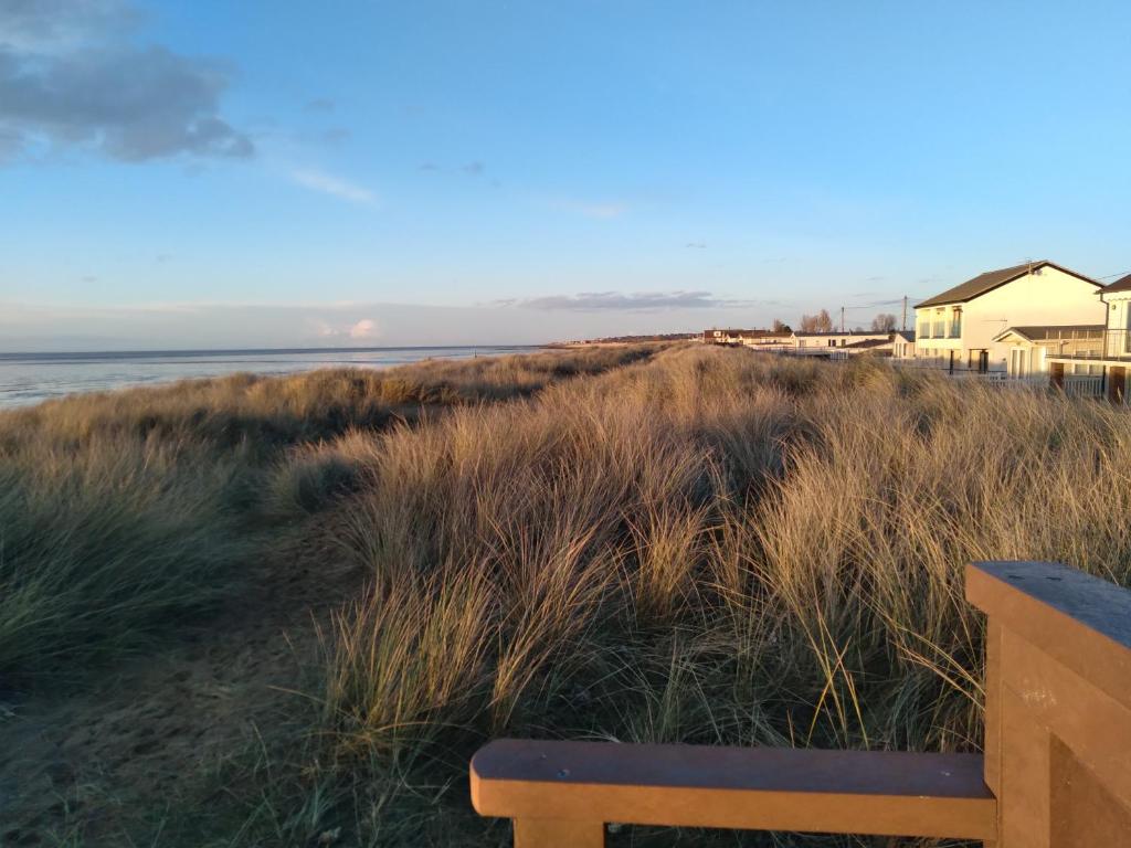 Beachgrass, Heacham photo 7