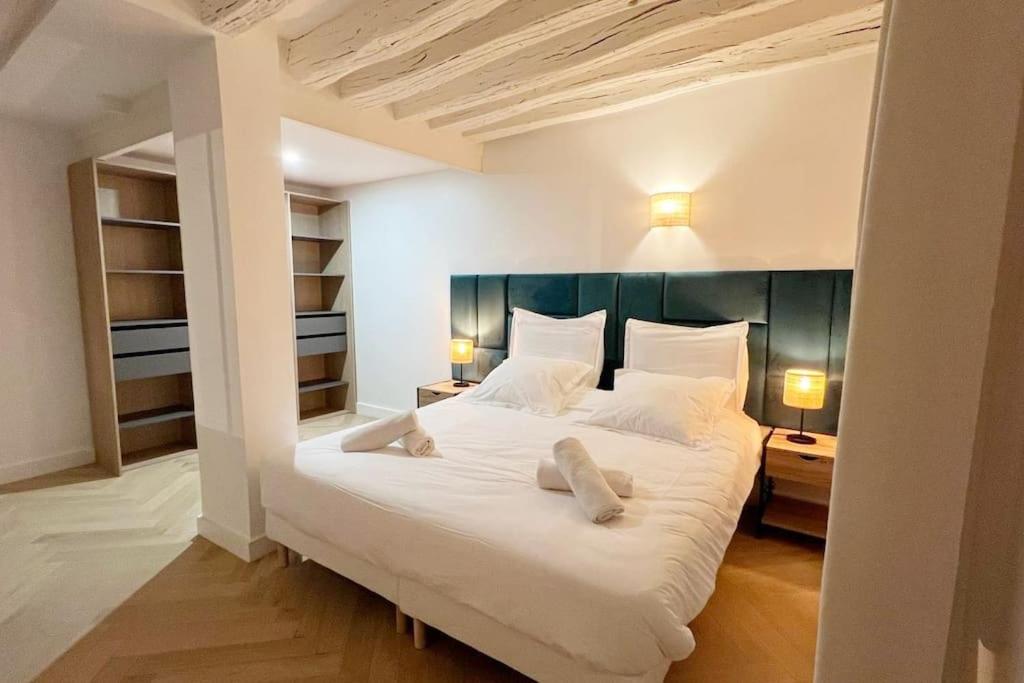 Magnificient Parisian Flat - Parisian heart - 3