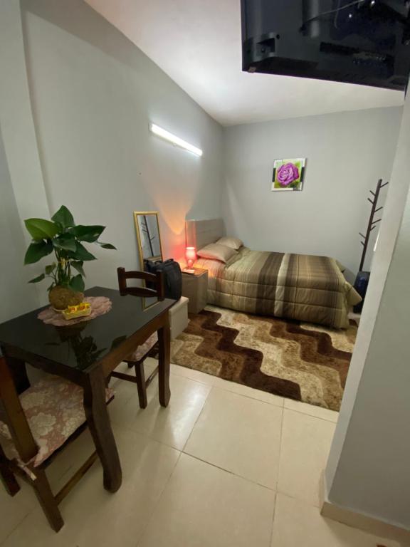 Lujoso ,cómodo MONOAMBIENTE, San Lorenzo