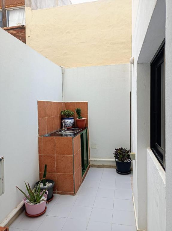 CASA LEO - 4