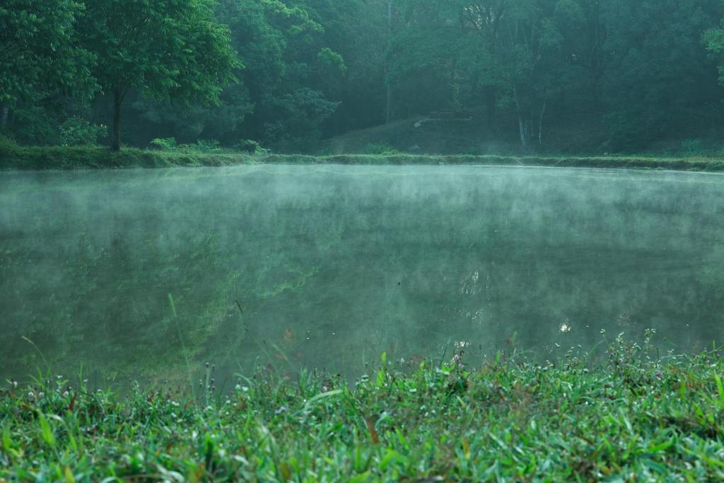 Surrounding environment