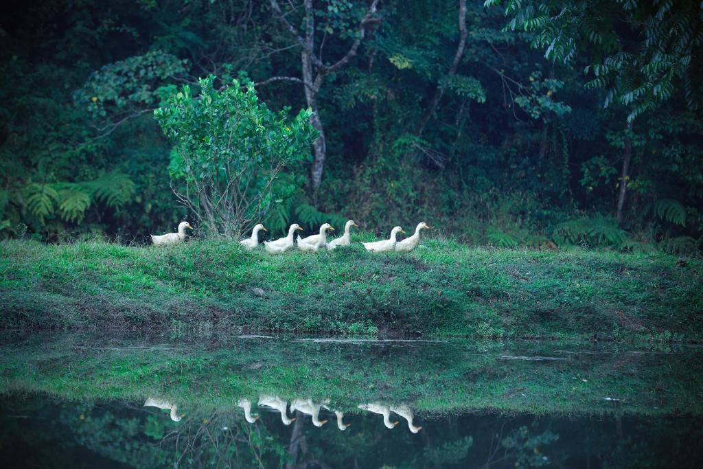 Surrounding environment