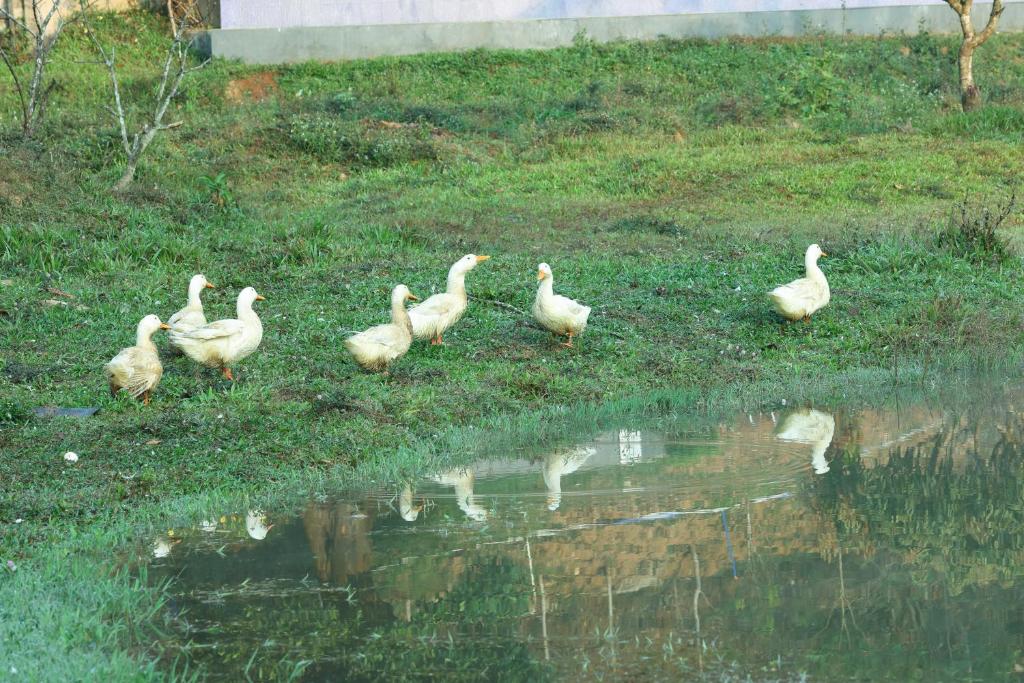 Surrounding environment