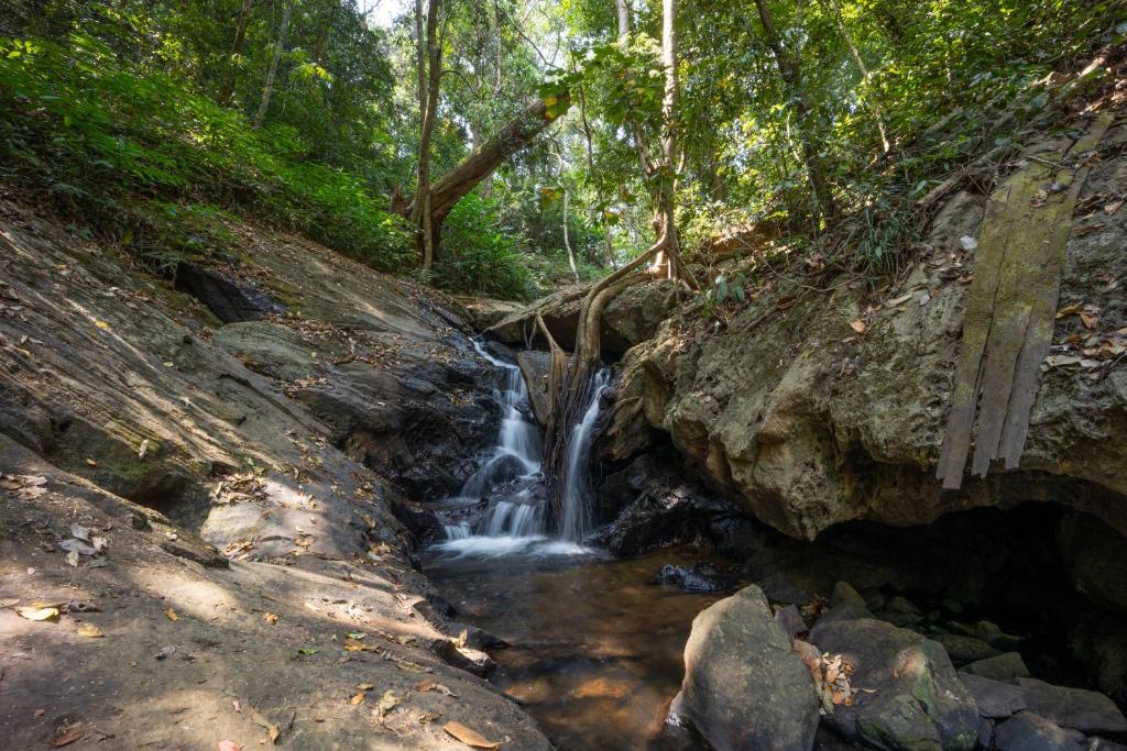 Surrounding environment