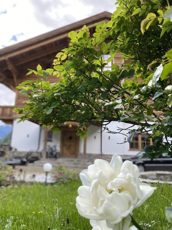 Grand Chalet - 3