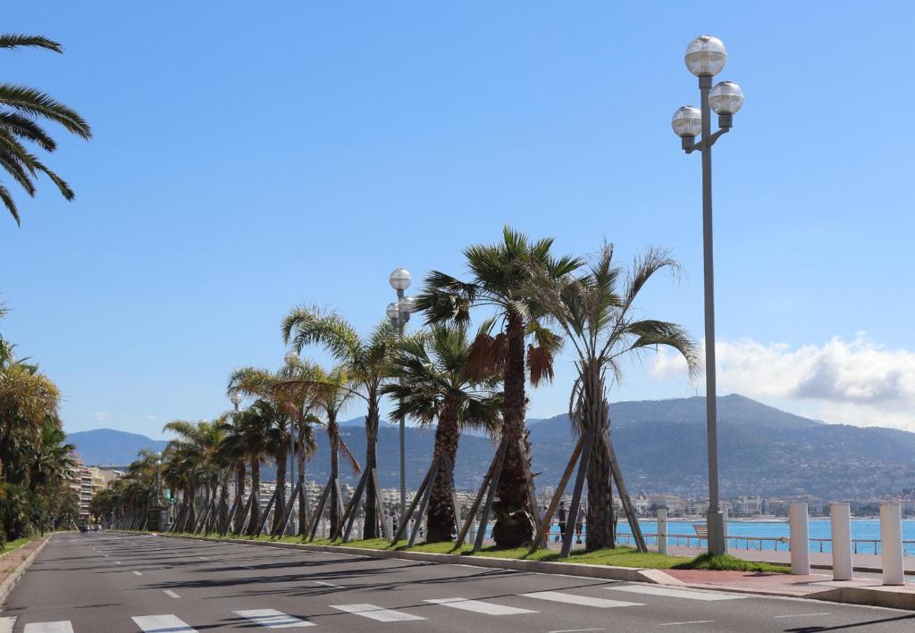 Nestor&Jeeves - PALMA BEACH - Proche Mer - 3