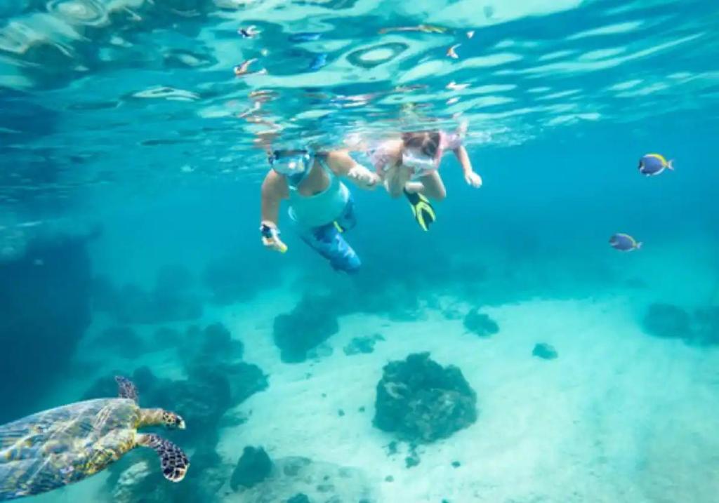 Sports and activities