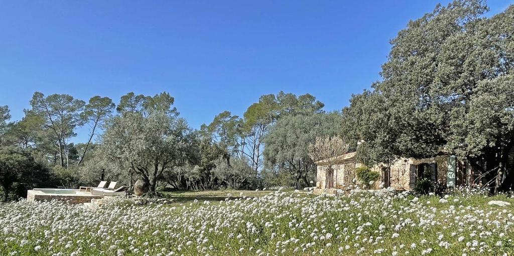 La Bergerie de Foneri - Véritable mas en pierre pour 6 pers avec piscine chauffée - 3