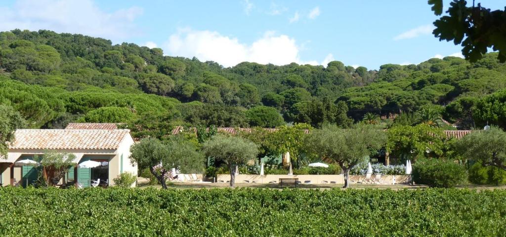 Residence Les Sellettes — Hotel in Saint-Tropez