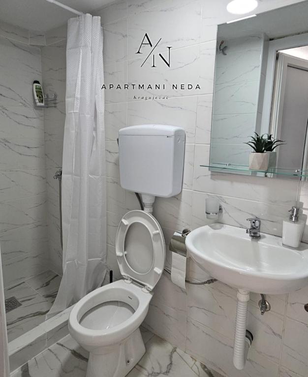 Apartmani Neda Kragujevac - 4