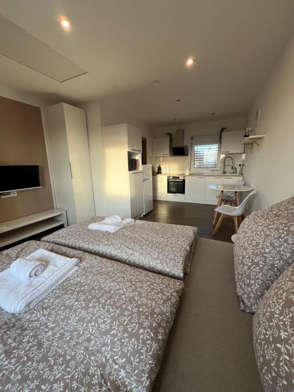 Ảnh 2
