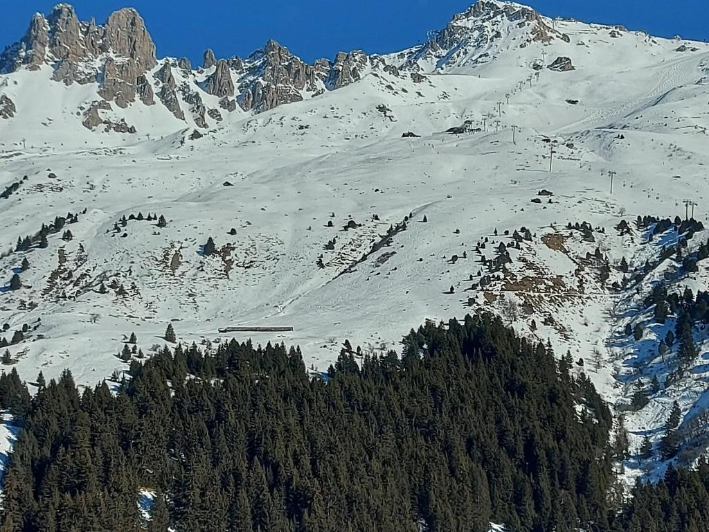 Superbe appartement 143m², 4 chambres, proche des pistes, prestations haut de gamme - FR-1-613-101 - 3