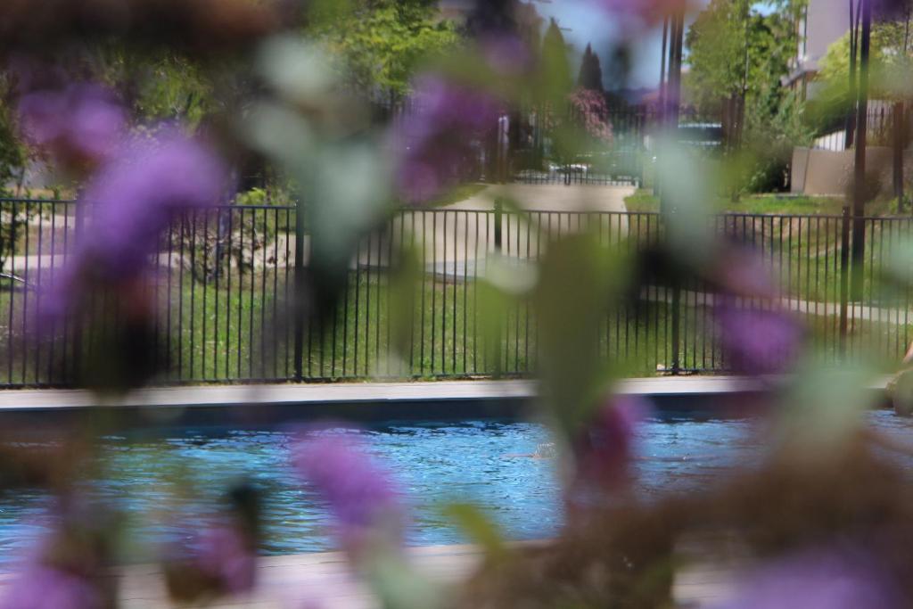 Très bel appartement pour 3 avec piscine à Chateau Vert - 1