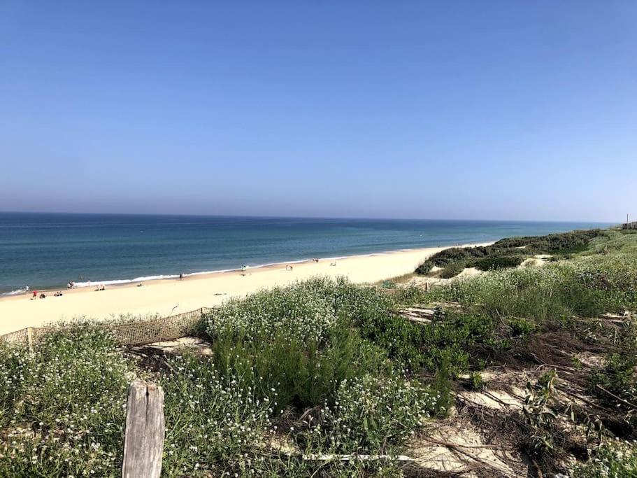 Spacieux appartement neuf au cœur de Bisca plage - 3