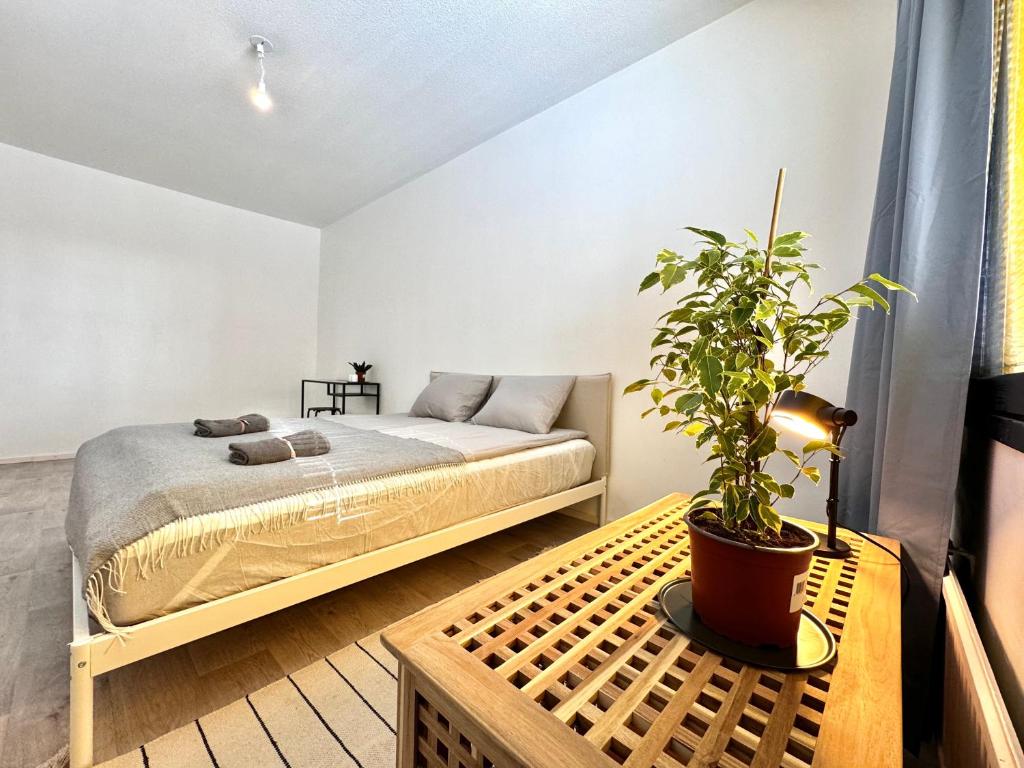 Koti+ Oulainen, Oulainen