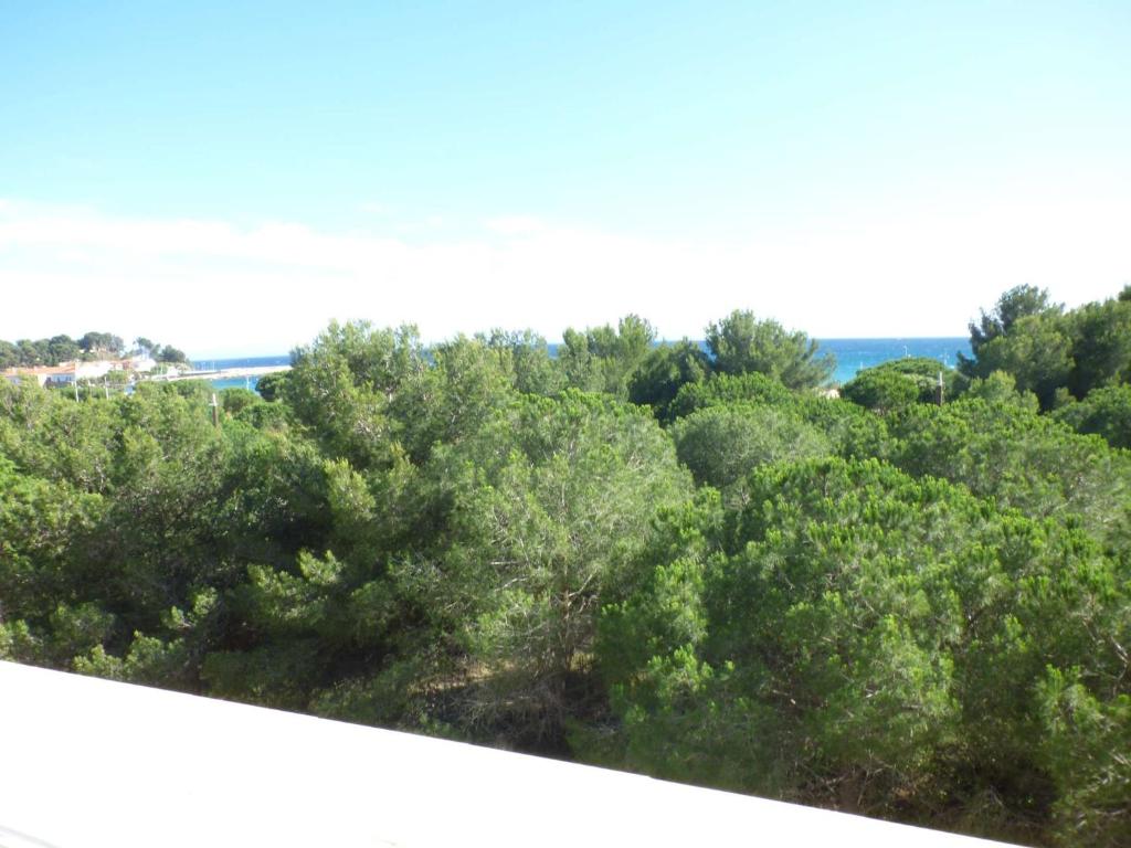 Vue mer, climatisation, Wifi, plage en face - 2
