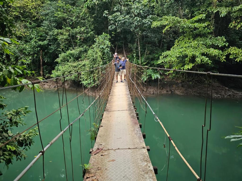 Surrounding environment