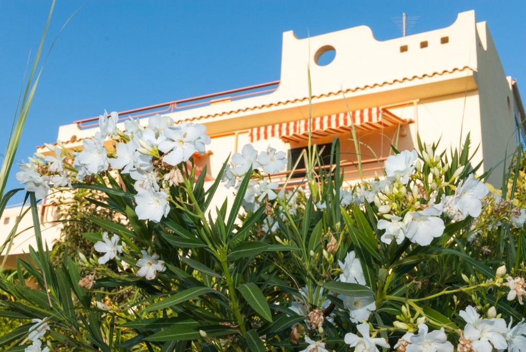 Surra Mediterranean Apartments - 2
