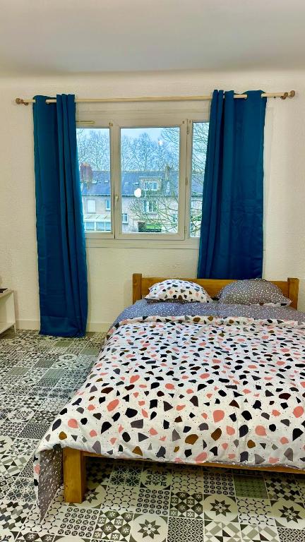 LE BORD DE LA LOIRE - chambre avec salle de bains commune - 1