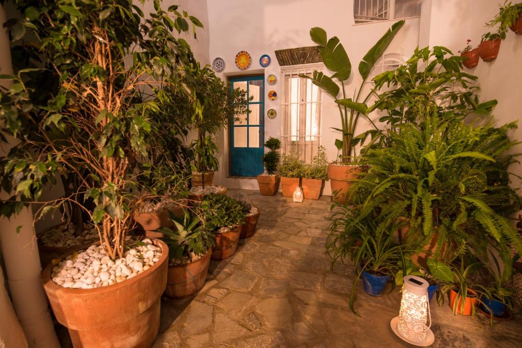 Casas Trafalgar - 3