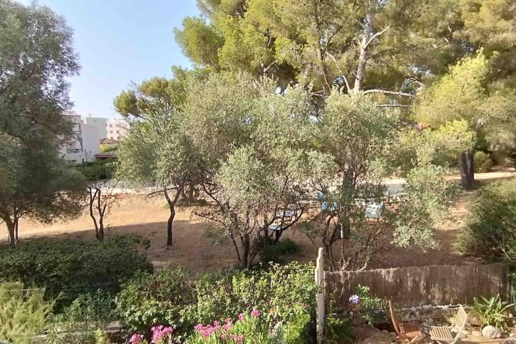 Coquet appartement avec piscine à 200m de la plage - 2