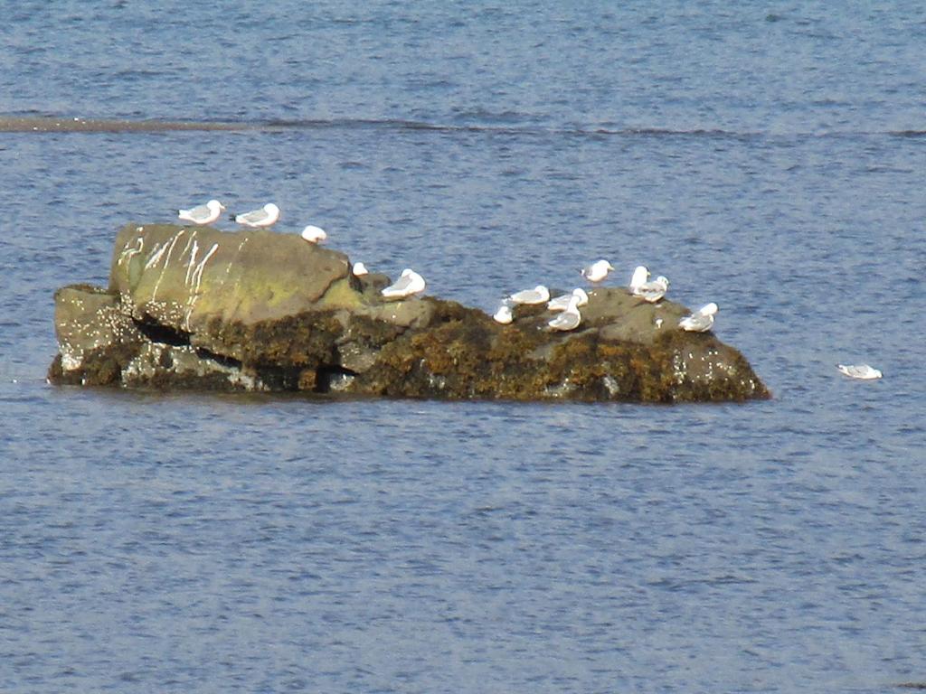 Surrounding environment