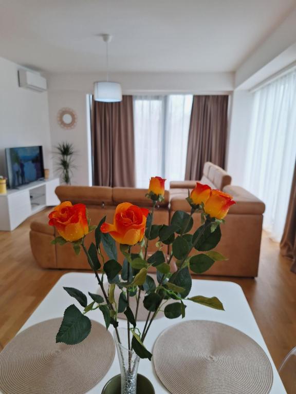 Apartment Teodo magico - 5