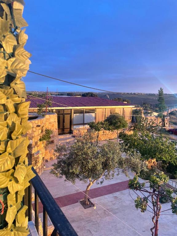 Ảnh 4