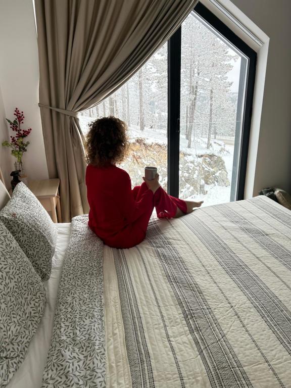 Apartman Zir - 3
