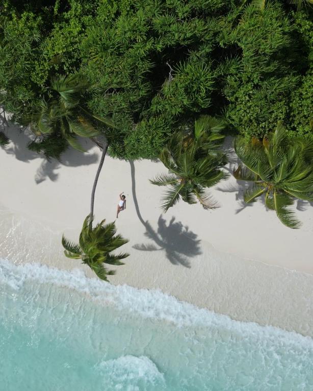 Surrounding environment