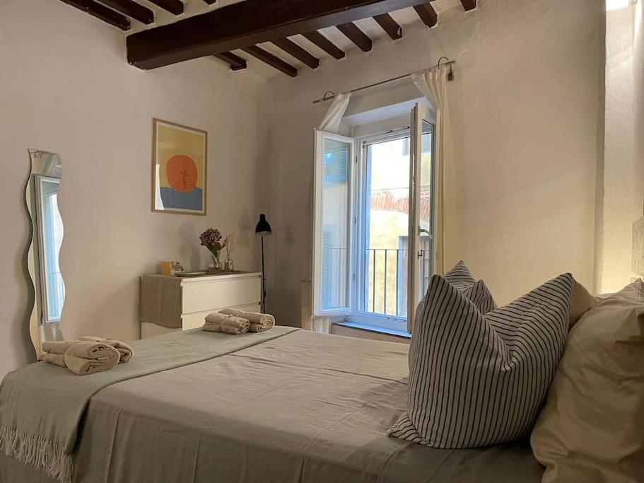 Casa storica nel cuore di Pisa - Lungarno - 2