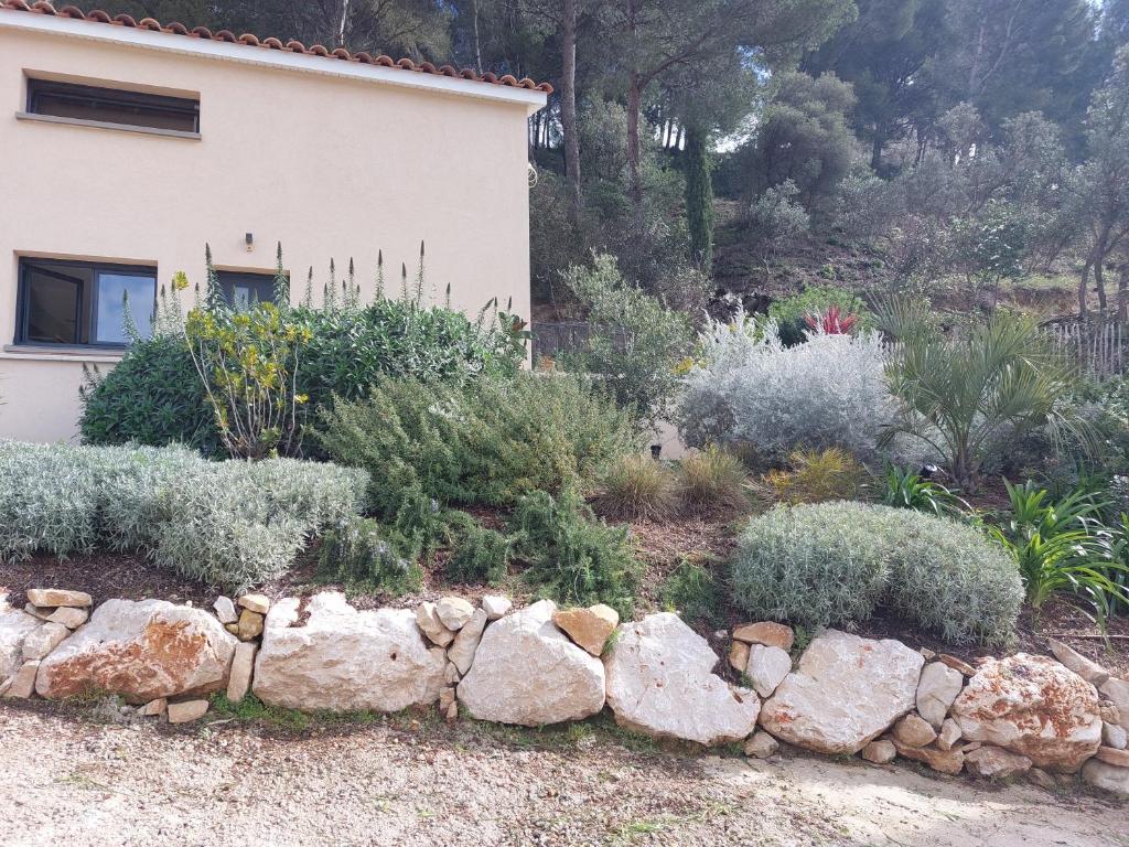 La Belle de Cassis - 4
