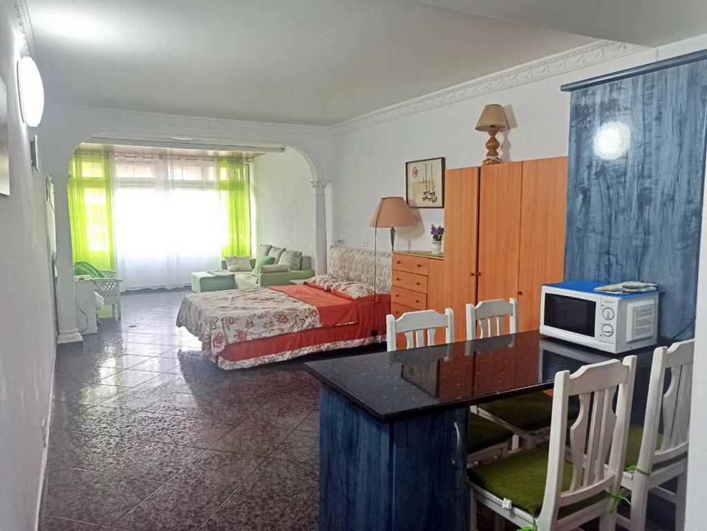 NICE STUDIO IN THE SOUTH OF TENERIFE IN THE COSTA DEL SILENCIO - 2