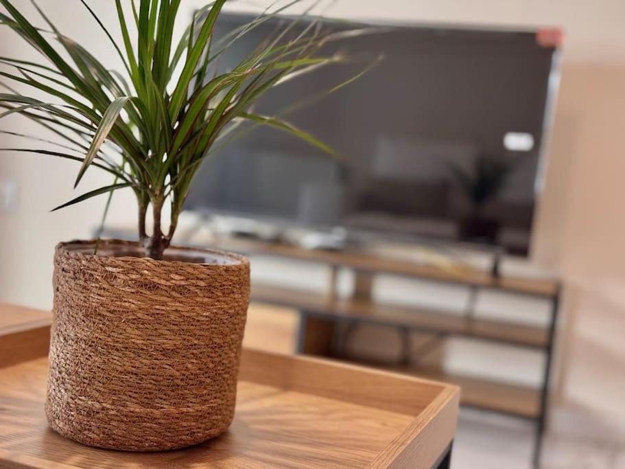 Apartamento en PLENO CENTRO con APARCAMIENTO opcional - 3