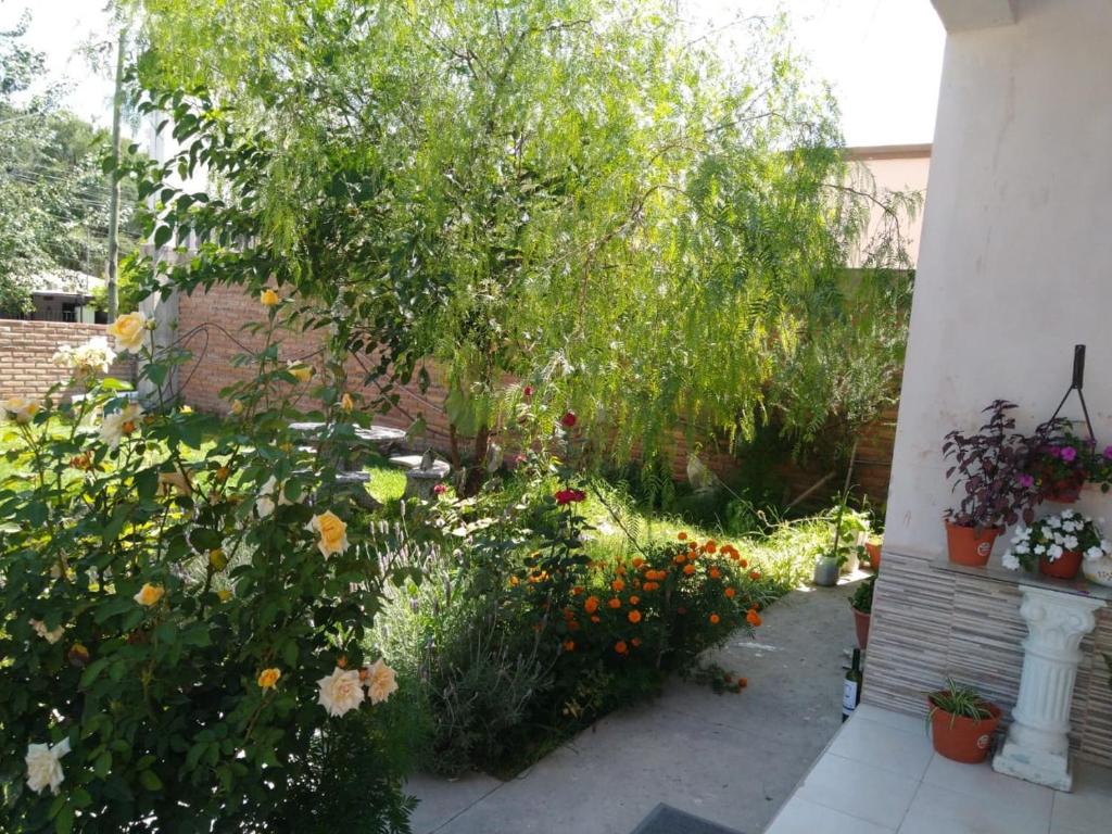 Casa en los Valles - 3