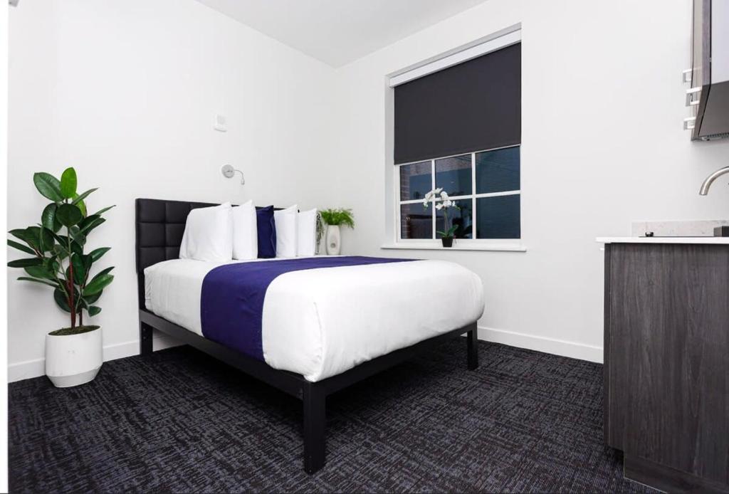 Modern Studio in Historic Boston - Unit #101, Boston