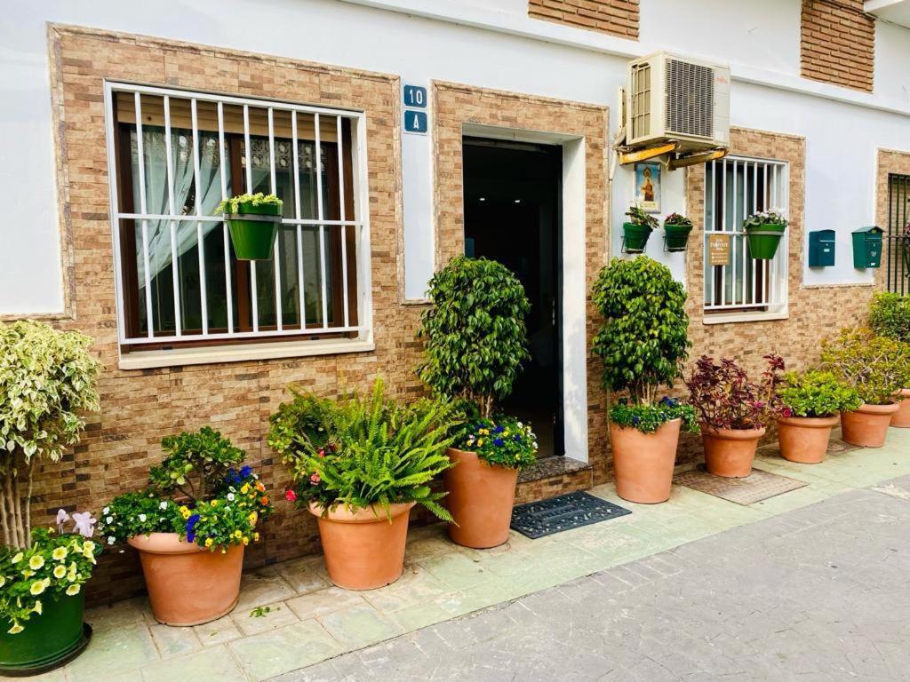 Fantastic La Cala 10, central, internet, AC - 2