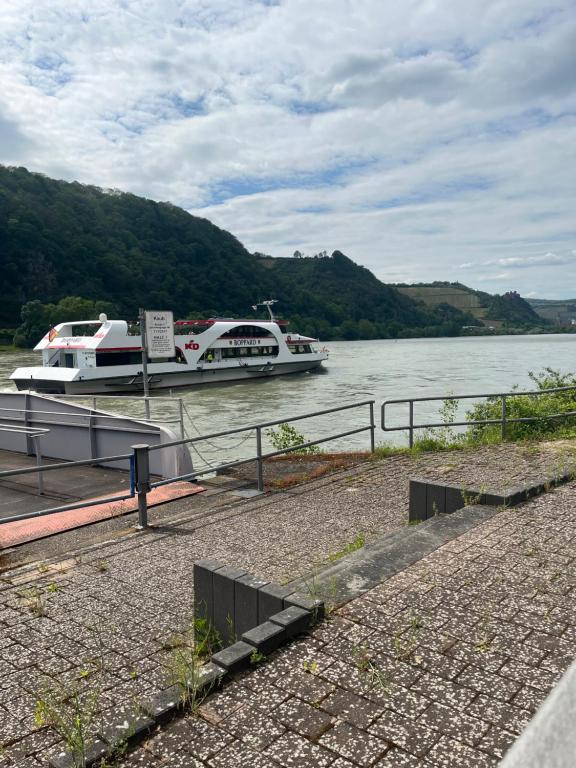 Am Rhein