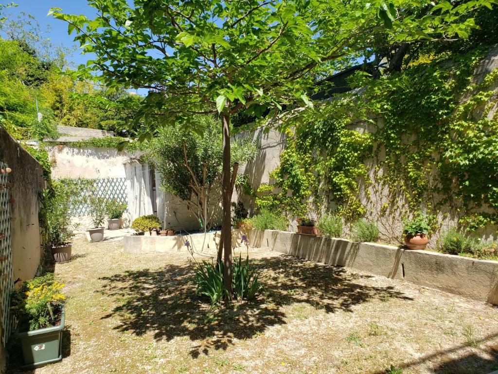 Appartement au cœur de cassis avec jardin - 3