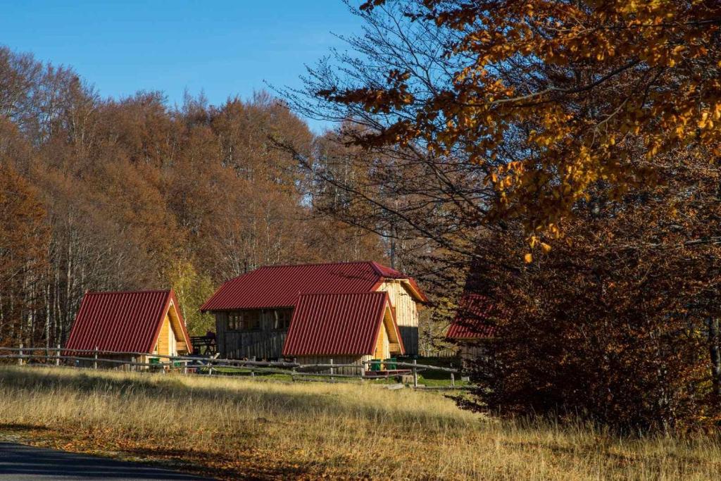 Maple bungalows - 2