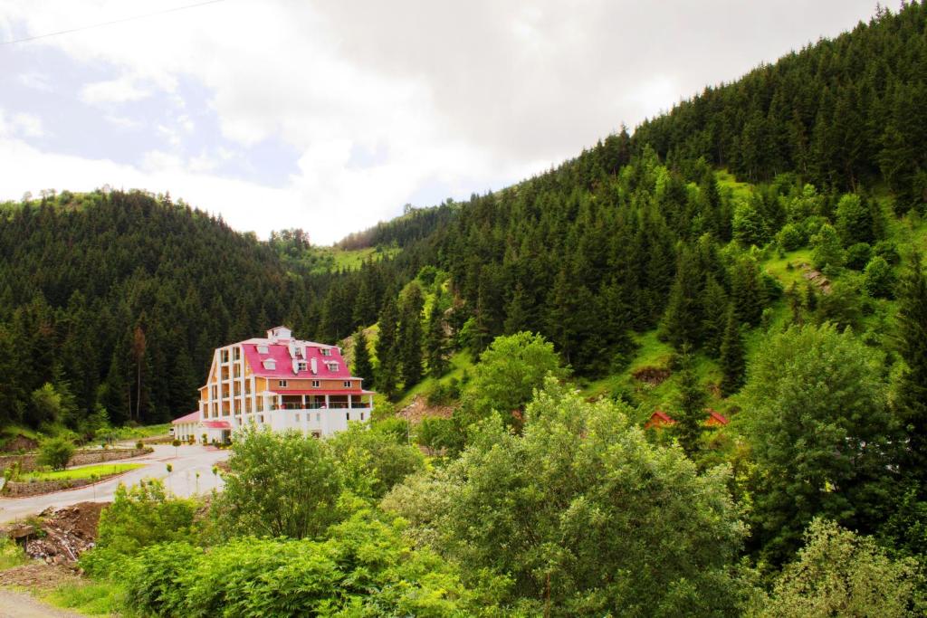 Hotel Green Valley Savsat