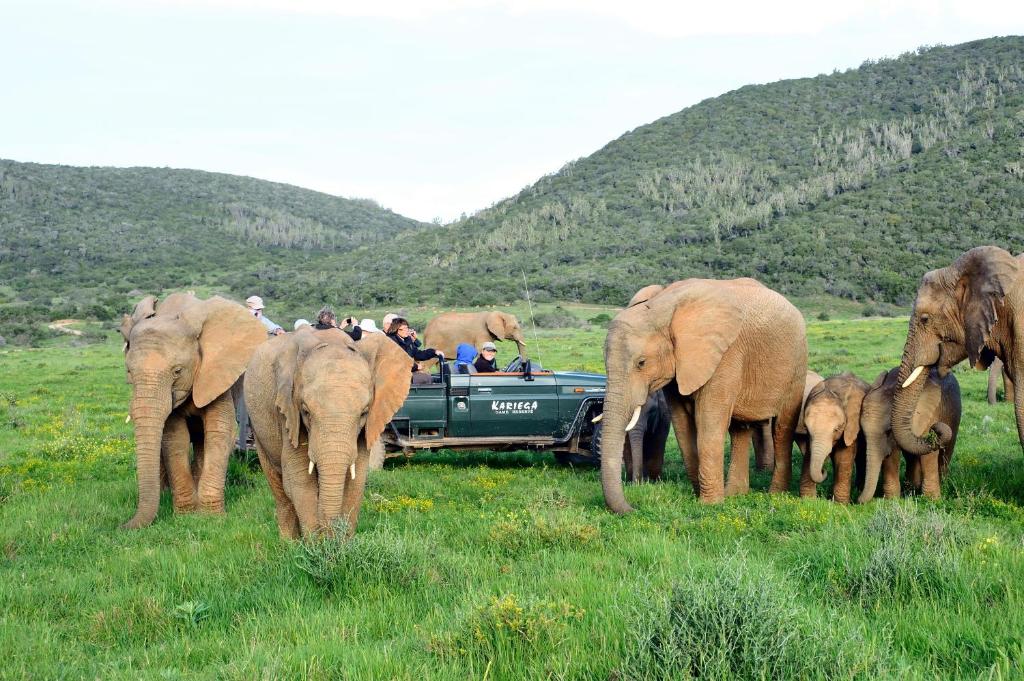 Kariega Game Reserve Ukhozi Lodge photo