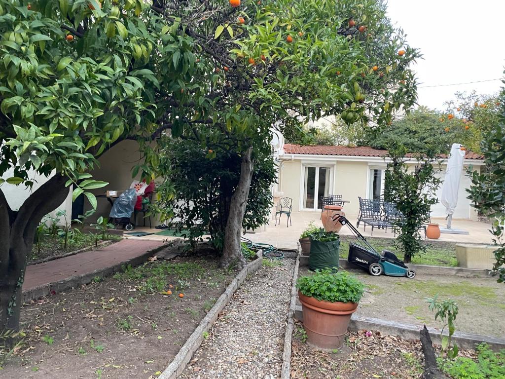 Chez Nicole - 1