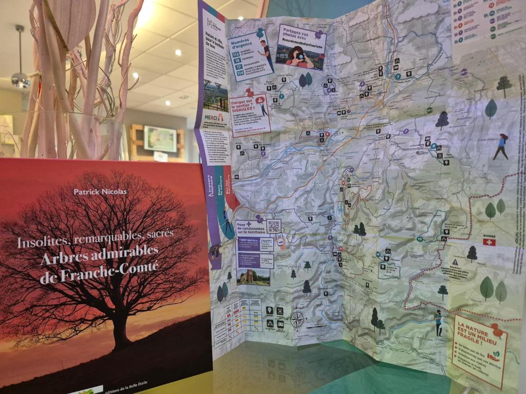 スポーツ/アクティビティ