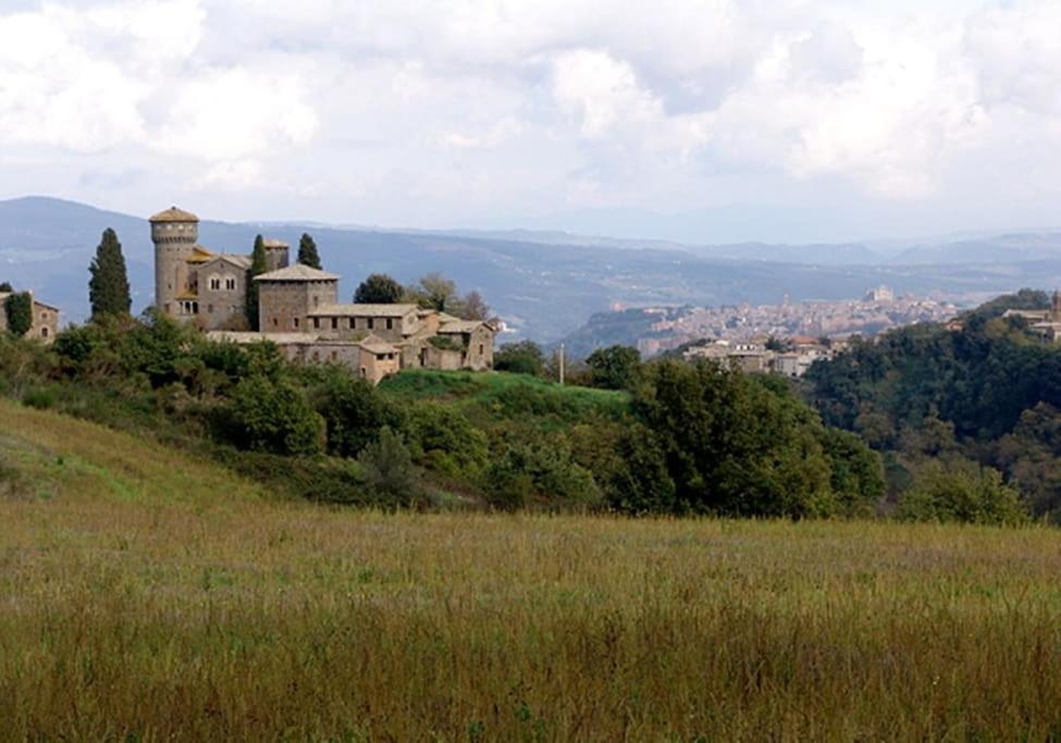Casa Passero Orvieto - 1