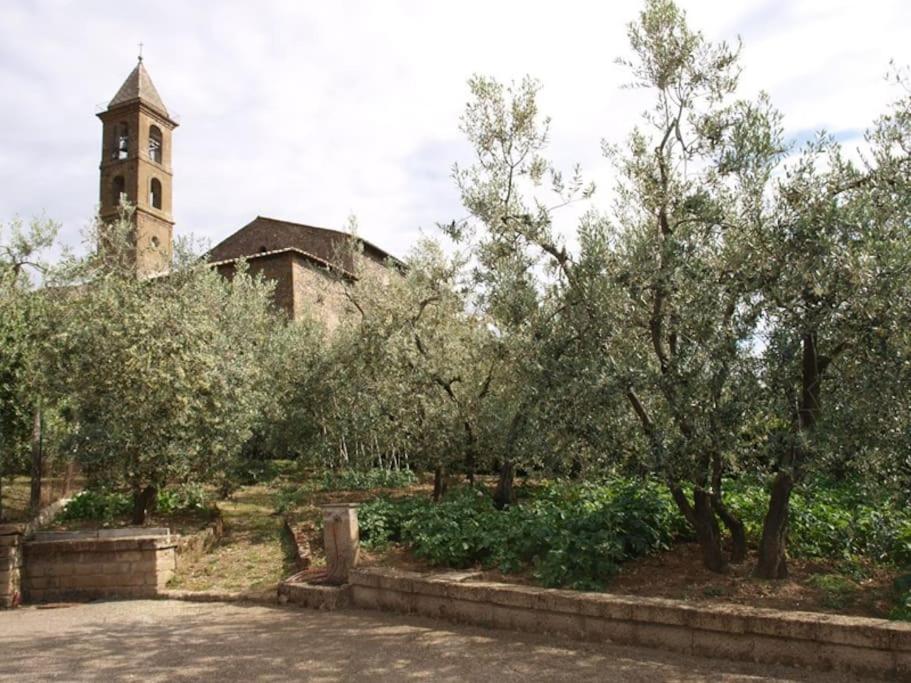 Casa Passero Orvieto - 2